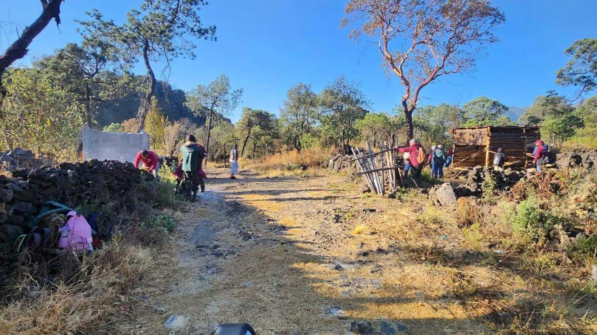 Recuperan 20 hectáreas de suelo de conservación en el Xitle 